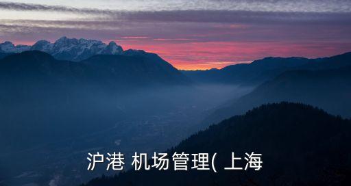 上海機(jī)場集團(tuán)王吉杰,上海建科集團(tuán)王吉杰
