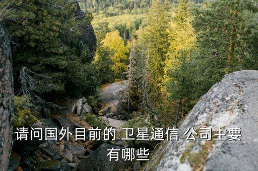 請(qǐng)問(wèn)國(guó)外目前的 衛(wèi)星通信 公司主要有哪些