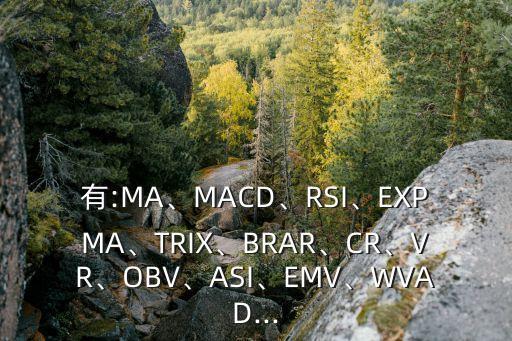 有:MA、MACD、RSI、EXPMA、TRIX、BRAR、CR、VR、OBV、ASI、EMV、WVAD...