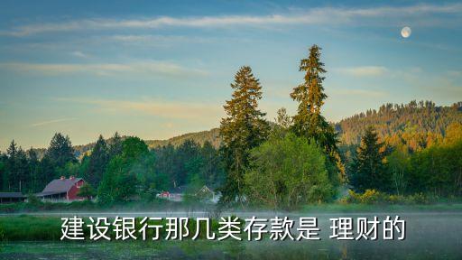  建設(shè)銀行那幾類存款是 理財?shù)? class=