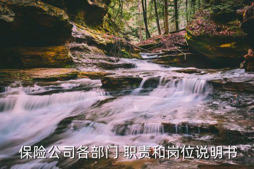  保險(xiǎn)公司各部門(mén) 職責(zé)和崗位說(shuō)明書(shū)