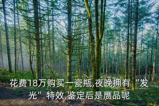 花費(fèi)18萬(wàn)購(gòu)買一瓷瓶,夜晚?yè)碛小鞍l(fā)光”特效,鑒定后是贗品呢