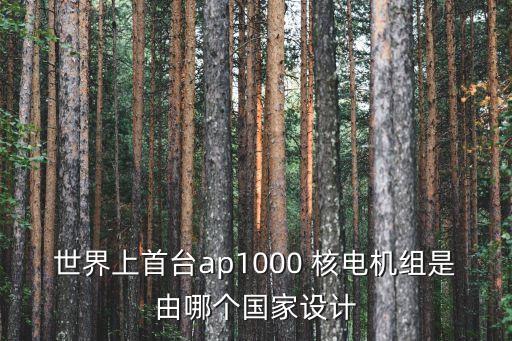 全球核電技術(shù)公司,中國(guó)國(guó)家核電技術(shù)公司
