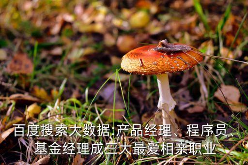 百度搜索大數(shù)據(jù):產(chǎn)品經(jīng)理、程序員、 基金經(jīng)理成三大最愛相親職業(yè)