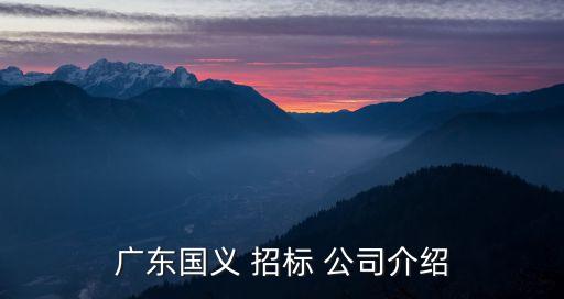 廣東國(guó)義 招標(biāo) 公司介紹