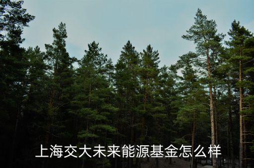  上海交大未來(lái)能源基金怎么樣