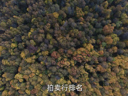中國藝術品成交額拍賣占比,香港藝術品拍賣成交額下滑