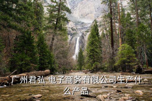  廣州君弘 電子商務有限公司生產什么產品