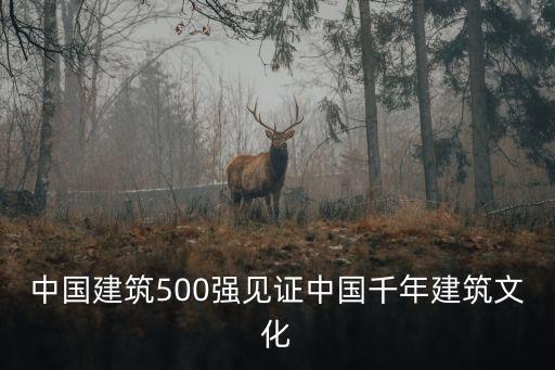 中國建筑500強(qiáng)見證中國千年建筑文化