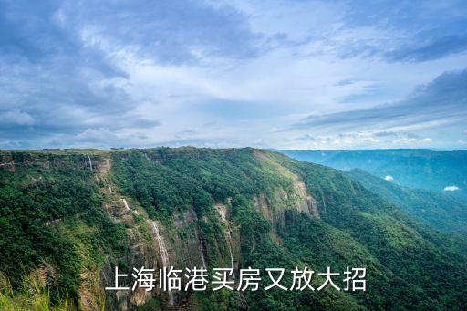  上海臨港買(mǎi)房又放大招
