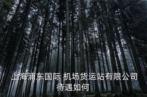  上海浦東國際 機場貨運站有限公司待遇如何