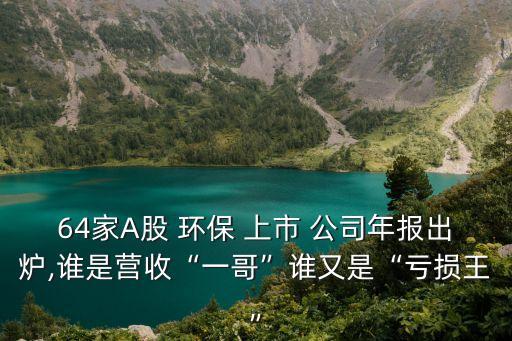 64家A股 環(huán)保 上市 公司年報(bào)出爐,誰是營收“一哥”誰又是“虧損王”