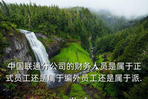  中國聯(lián)通分公司的財務(wù)人員是屬于正式員工還是屬于編外員工還是屬于派...