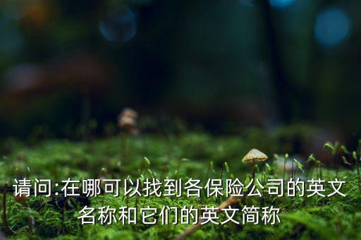 美國安森保險(xiǎn)有限公司北京代表處地址