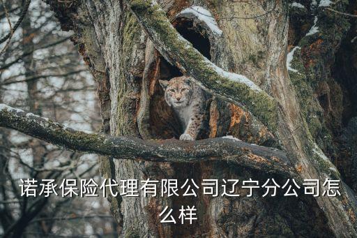  諾承保險代理有限公司遼寧分公司怎么樣