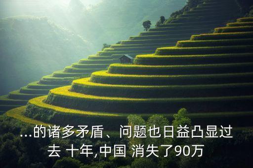 ...的諸多矛盾、問題也日益凸顯過去 十年,中國 消失了90萬