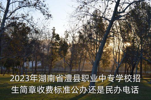 2023年湖南省澧縣職業(yè)中專學(xué)校招生簡章收費標準公辦還是民辦電話