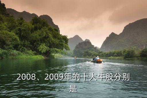 2008、2009年的十大牛股分別是