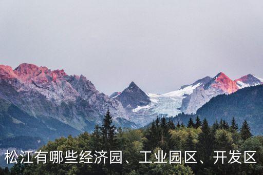 松江有哪些經(jīng)濟(jì)園、工業(yè)園區(qū)、開(kāi)發(fā)區(qū)