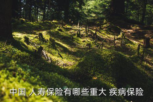 中國 人壽保險(xiǎn)有哪些重大 疾病保險(xiǎn)