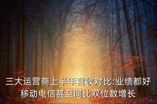 中國移動(dòng)2013年財(cái)報(bào)