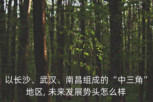 以長沙、武漢、南昌組成的“中三角”地區(qū), 未來發(fā)展勢頭怎么樣