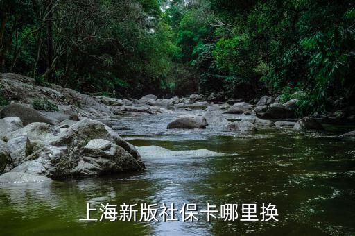  上海新版社保卡哪里換