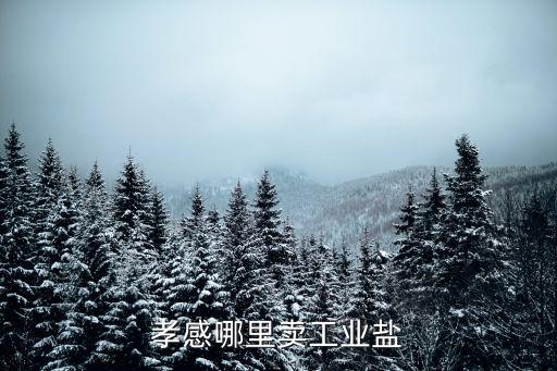 孝感哪里賣(mài)工業(yè)鹽
