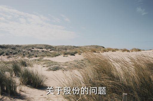 關于股份的問題