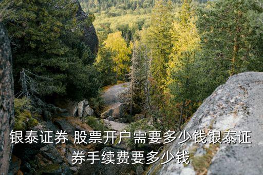 銀泰證券 股票開(kāi)戶需要多少錢銀泰證券手續(xù)費(fèi)要多少錢