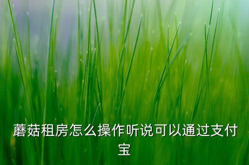  蘑菇租房怎么操作聽(tīng)說(shuō)可以通過(guò)支付寶