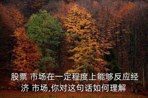 股票 市場(chǎng)在一定程度上能夠反應(yīng)經(jīng)濟(jì) 市場(chǎng),你對(duì)這句話(huà)如何理解
