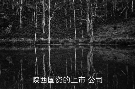 陜西國(guó)資的上市 公司