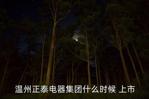  溫州正泰電器集團什么時候 上市