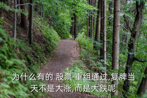為什么有的 股票 重組通過(guò),復(fù)牌當(dāng)天不是大漲,而是大跌呢