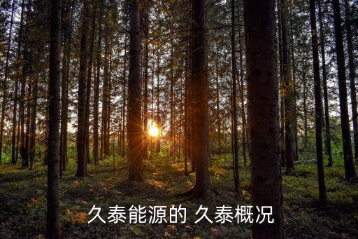 河北久泰集團(tuán),誰收購(gòu)內(nèi)蒙古久泰集團(tuán)