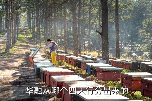  華融從哪個(gè)四大行分出來的