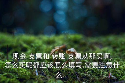 中國光大銀行的轉(zhuǎn)賬支票,光大銀行轉(zhuǎn)賬支票圖片