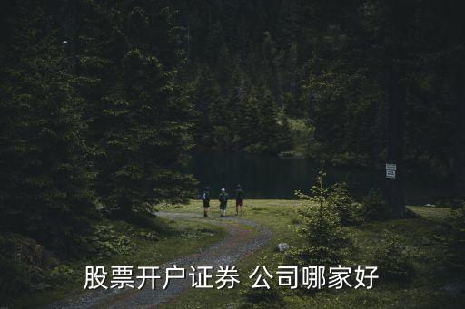 股票開(kāi)戶證券 公司哪家好