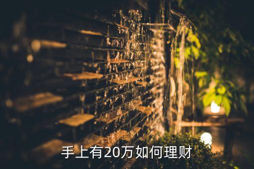 20萬(wàn)元投資