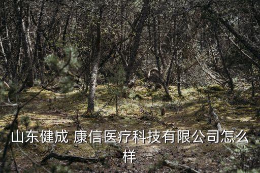 上?？敌湃谫Y租