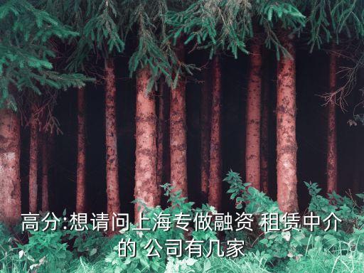 高分:想請(qǐng)問(wèn)上海專做融資 租賃中介的 公司有幾家