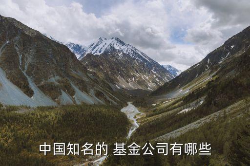 博時基金組織架構(gòu),易方達(dá)基金組織架構(gòu)