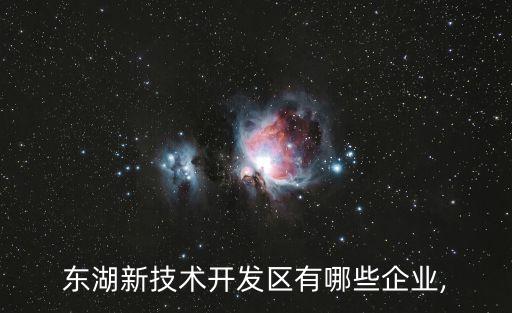 東湖新技術(shù)開(kāi)發(fā)區(qū)有哪些企業(yè),