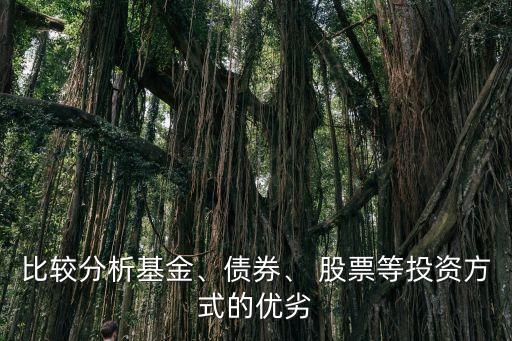 比較分析基金、債券、 股票等投資方式的優(yōu)劣