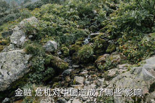 全球金融危機(jī)對中國經(jīng)濟(jì)的影響,08年金融危機(jī)對全球的影響