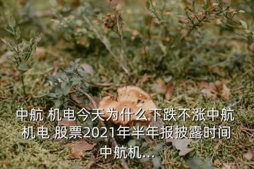 航空機電股票行情,天銀機電股票行情
