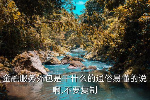 金融服務(wù)外包是干什么的通俗易懂的說(shuō)啊,不要復(fù)制
