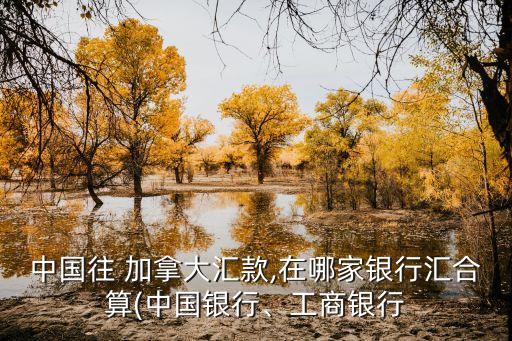 中國(guó)往 加拿大匯款,在哪家銀行匯合算(中國(guó)銀行、工商銀行