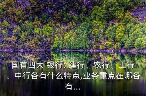 國有四大 銀行: 建行、農行、工行、中行各有什么特點,業(yè)務重點在哪各有...
